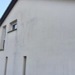 Nettoyage facade avant